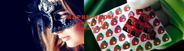 гидропоника Богородицк