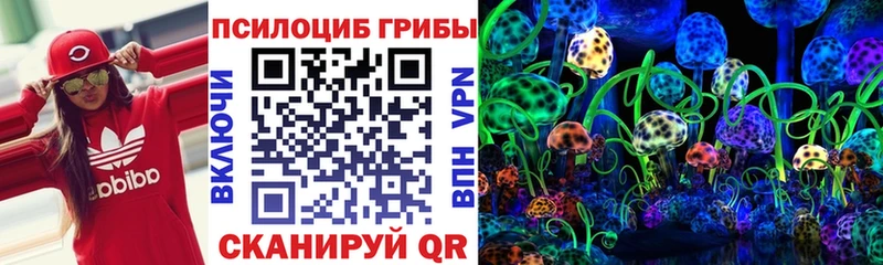 где можно купить наркотик  Котельниково  Псилоцибиновые грибы Psilocybine cubensis 