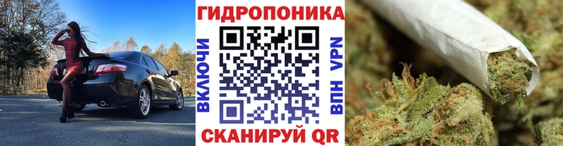 мега маркетплейс  Котельниково  Бошки марихуана SATIVA & INDICA 